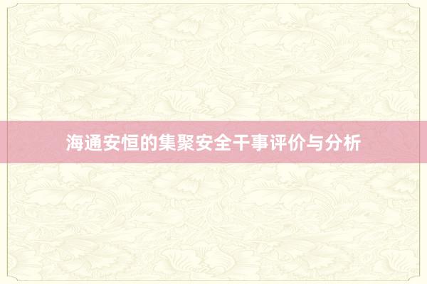 海通安恒的集聚安全干事评价与分析